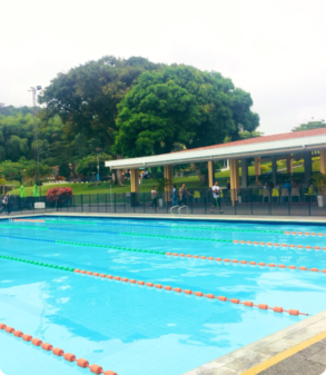 Piscina de competicion con arboles de fondo