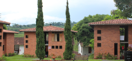 cabañas en zona verde con pinos a los lados