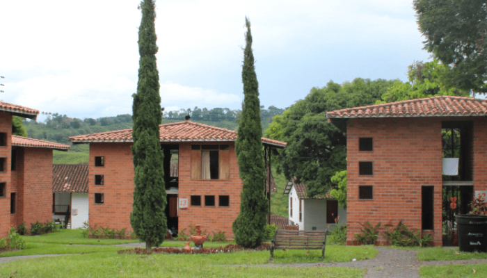 cabañas en zona verde con pinos a los lados