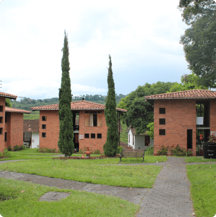 cabañas en zona verde con pinos a los lados