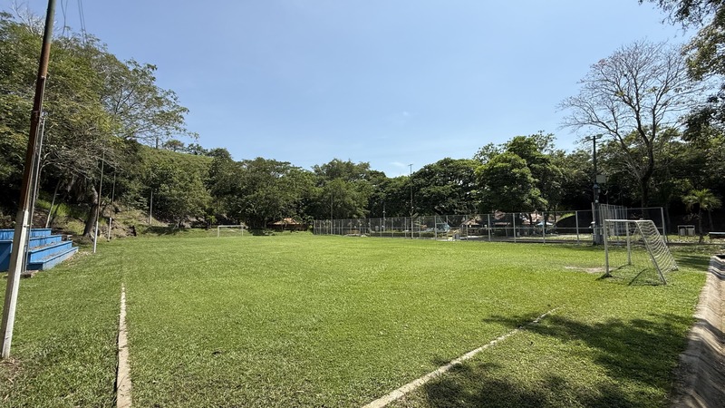 Cancha de futbol 11 de grama rodeada de arboles