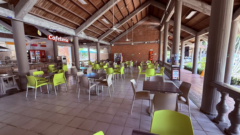 Cafeteria con sillas verdes y techo de madera