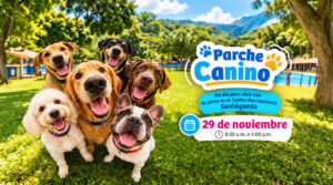 Perros felices